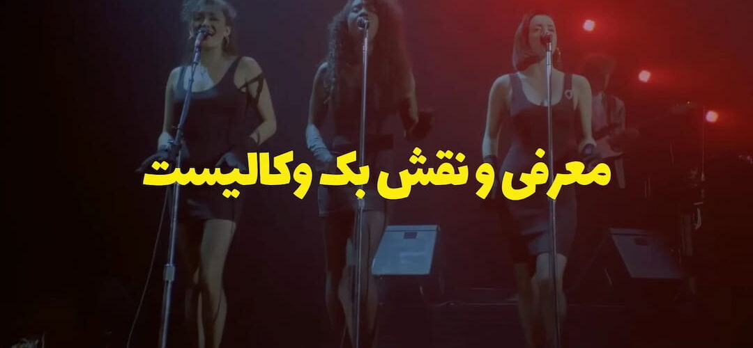 معرفی و نقش بک وکالیست